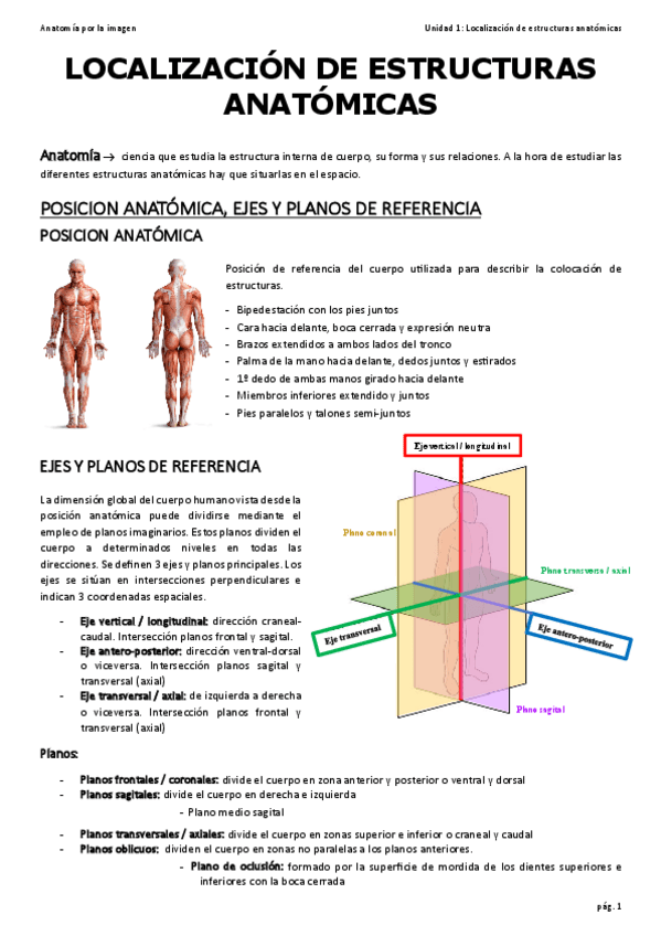 Miniatura del documento 1.pdf