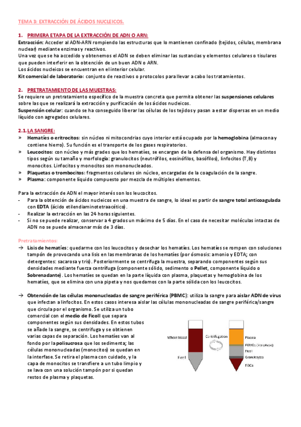 Miniatura del documento TEMA-3-EXTRACCION-DE-ACIDOS-NUCLEICOS.pdf