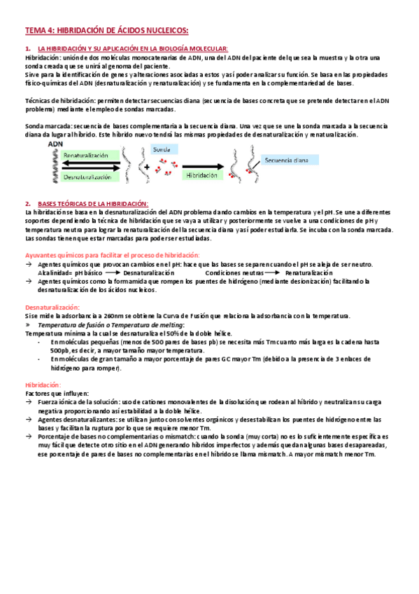 Miniatura del documento TEMA-4-HIBRIDACION.pdf