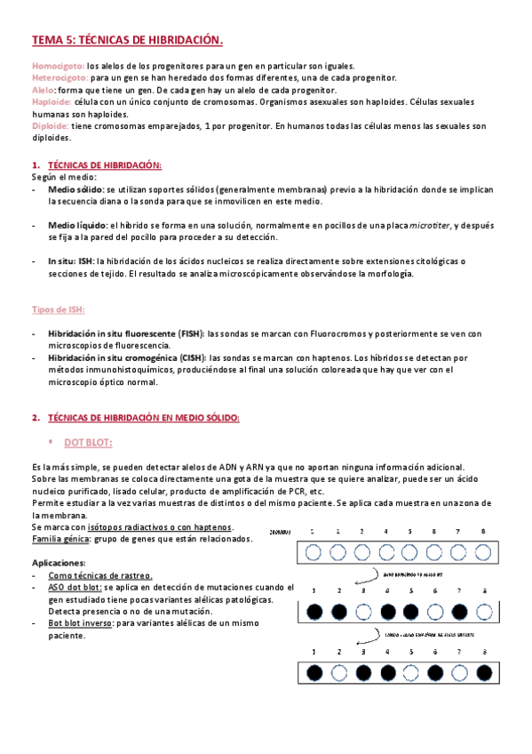 Miniatura del documento TEMA-5-TECNICAS-DE-HIBRIDACION.pdf