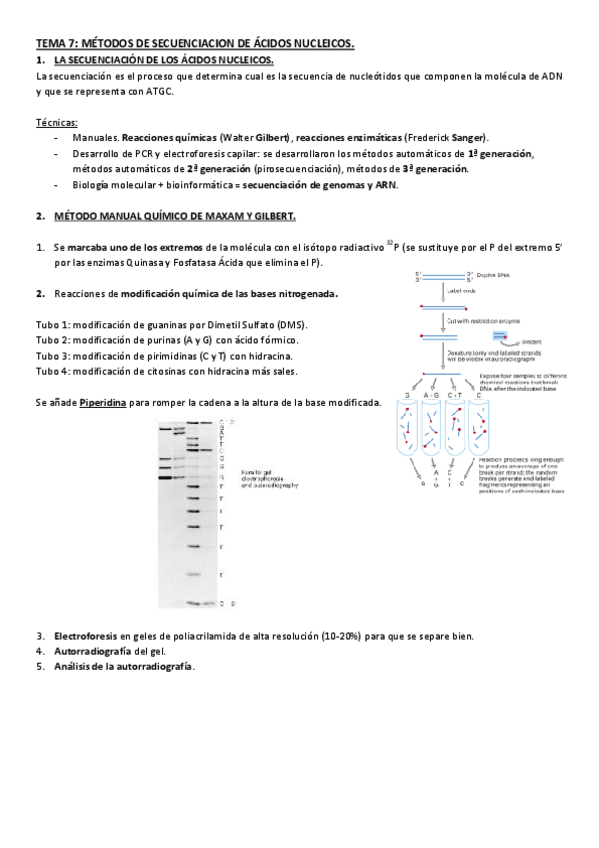 Miniatura del documento TEMA-7-SECUENCIACION-DE-ADN-Y-ARN.pdf