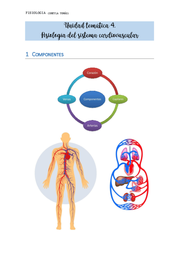 Miniatura del documento TEMA-4.pdf