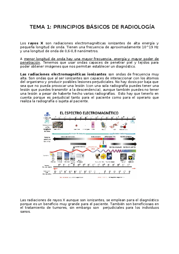 Miniatura del documento TEMA 1 PRINCIPIOS BÁSICOS.docx
