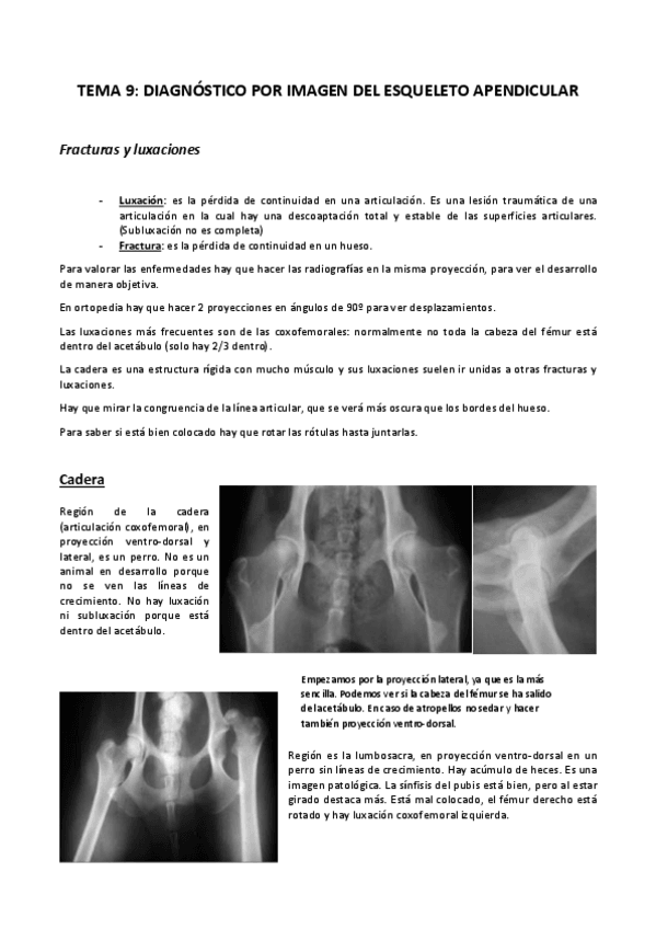 Miniatura del documento TEMA 9. APENDICULAR.pdf