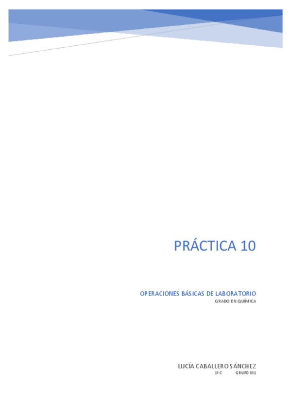 Miniatura del documento INFORME-PRACTICA-10-FINAL.pdf