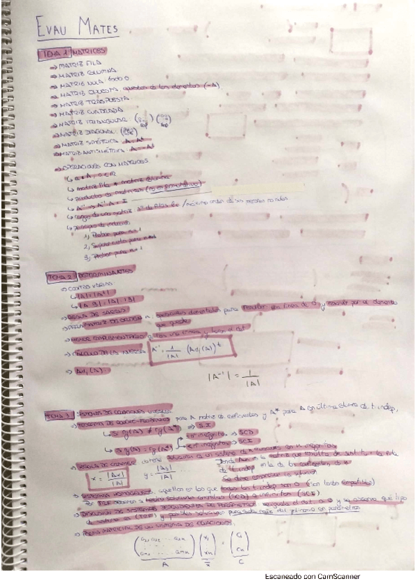 Miniatura del documento Resumen ÁLGEBRA completo EVAU mates