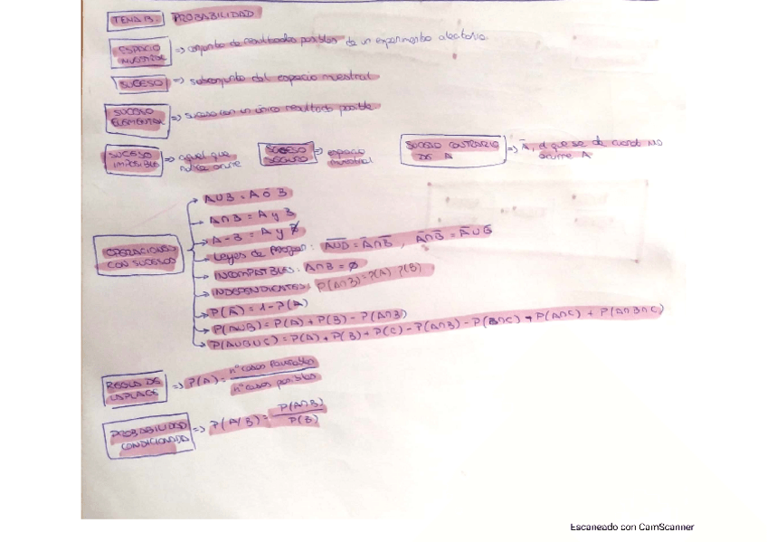 Miniatura del documento tema-13-mates-evau.pdf