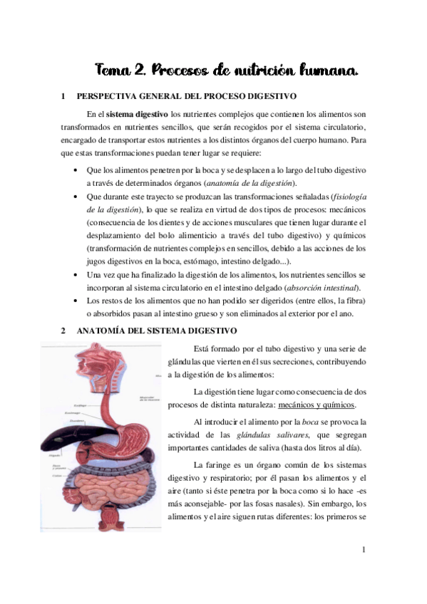 Miniatura del documento TEMA-2-RESUMEN.pdf