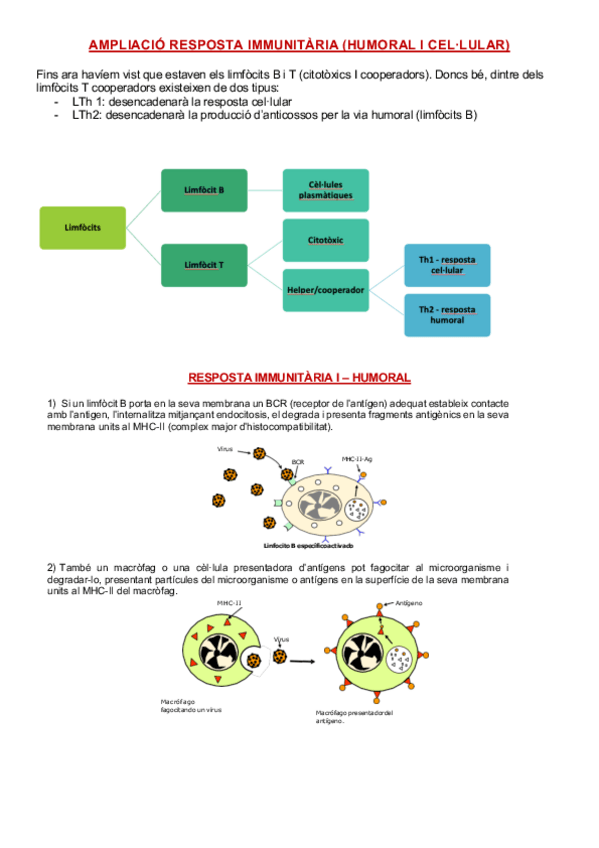 Miniatura del documento Resposta-Humoral-i-Cellular.pdf