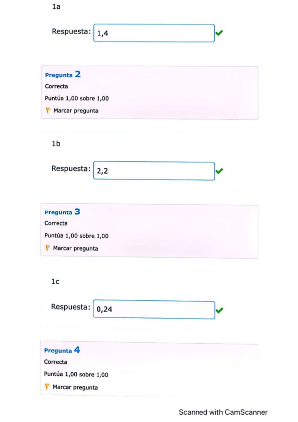 Miniatura del documento 1o-parcial-RESUELTO-2.pdf