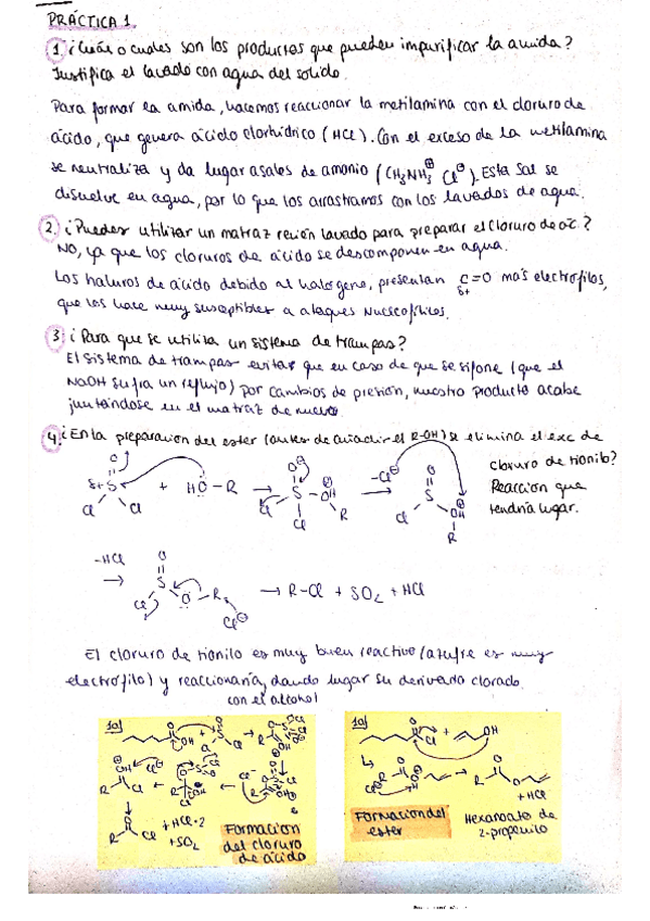 Miniatura del documento Respuestas-lab-organica.pdf