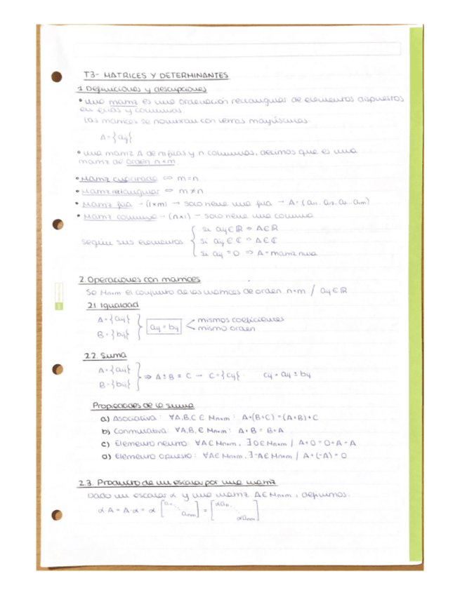 Miniatura del documento T3-Matrices-y-determinantes.pdf