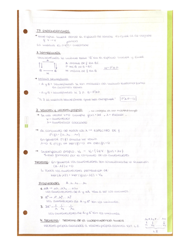 Miniatura del documento T7-Endomorfismos.pdf