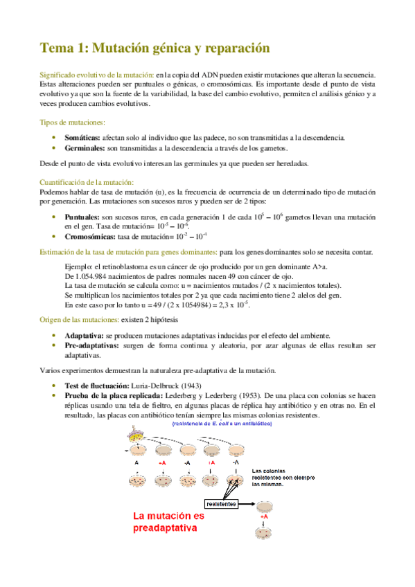 Miniatura del documento GENETICA-II-T1-T15.pdf