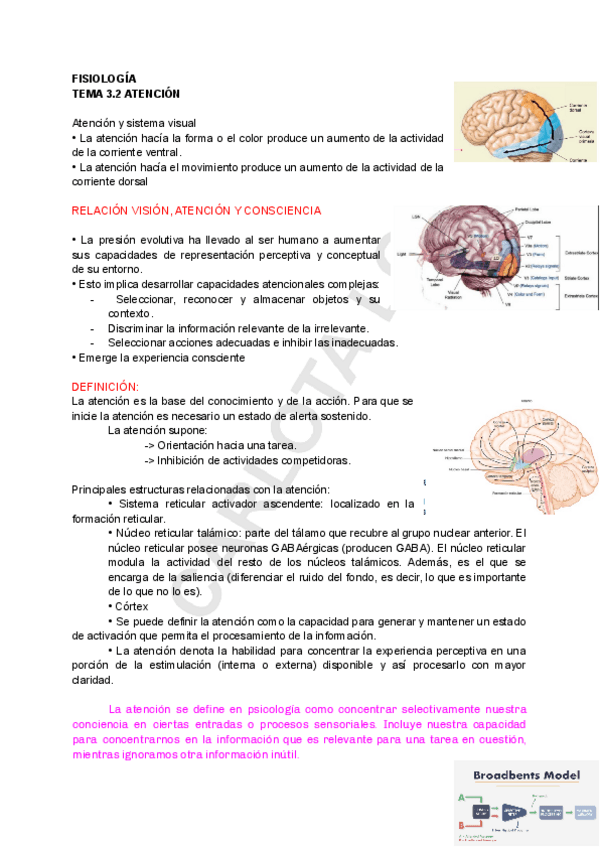 Miniatura del documento FISIO-TEMA-3.pdf