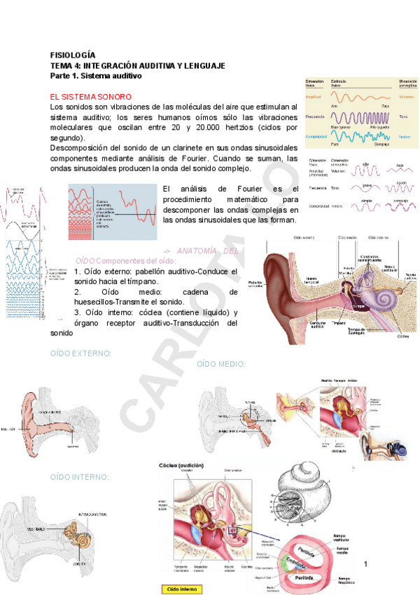 Miniatura del documento FISIO-TEMA-4.pdf
