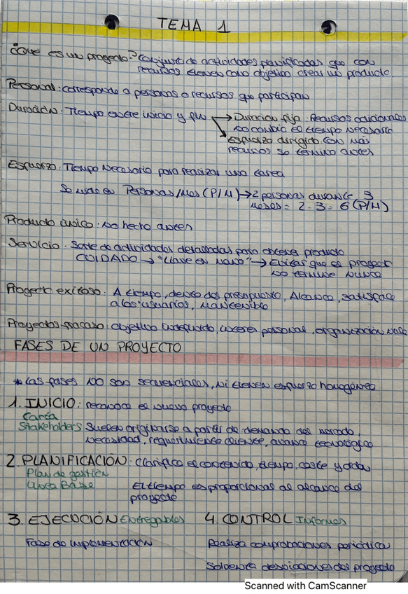 Miniatura del documento Teoria-GP-Temas-1-4.pdf