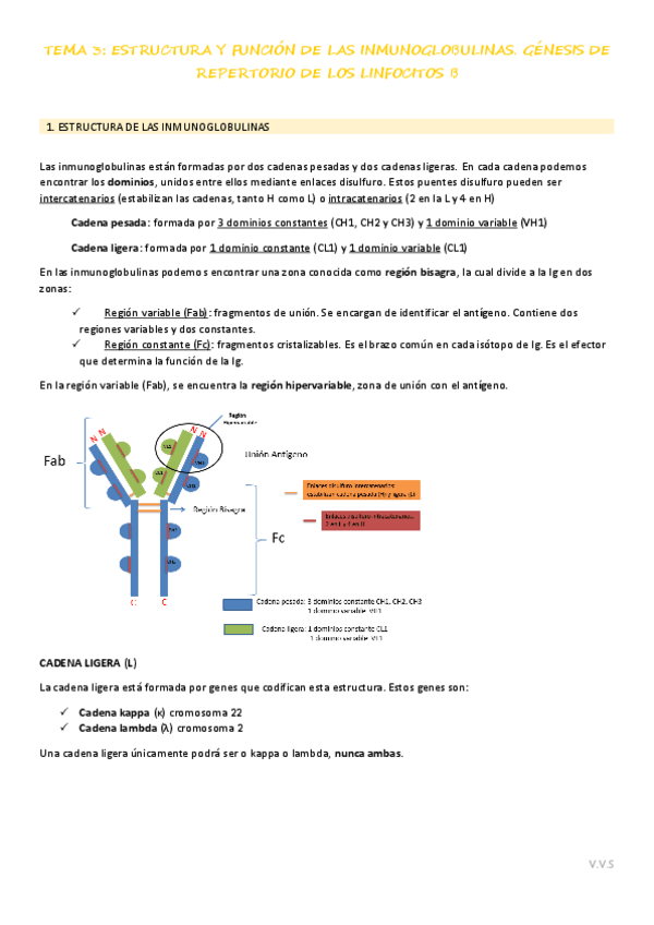 Miniatura del documento INMUNOLOGIA-tema-3.pdf