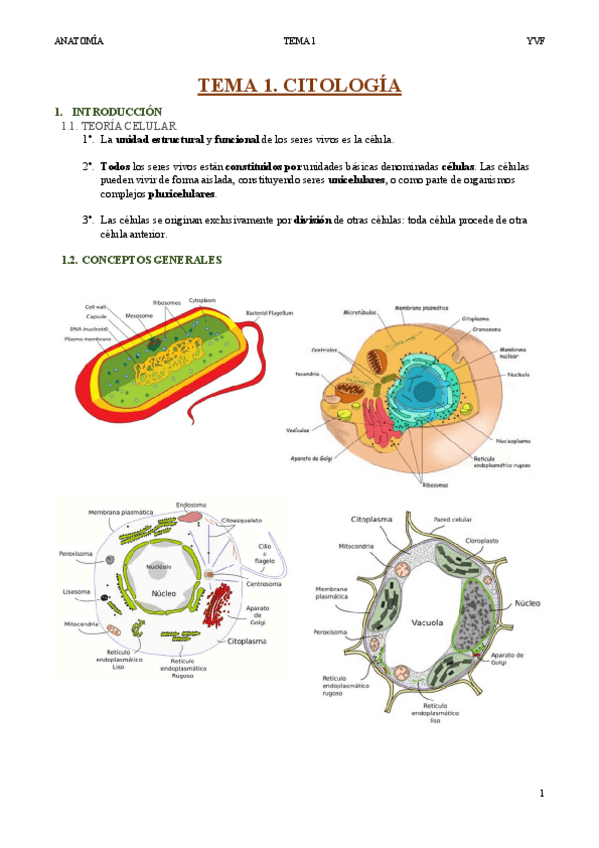 Miniatura del documento Tema-1-Citologia.pdf