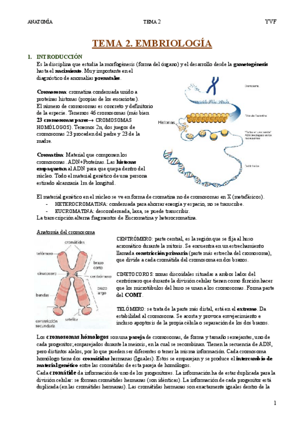 Miniatura del documento Tema-2-Embriologia.pdf