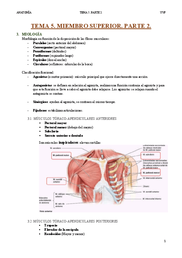 Miniatura del documento Tema-5-MMSS.pdf