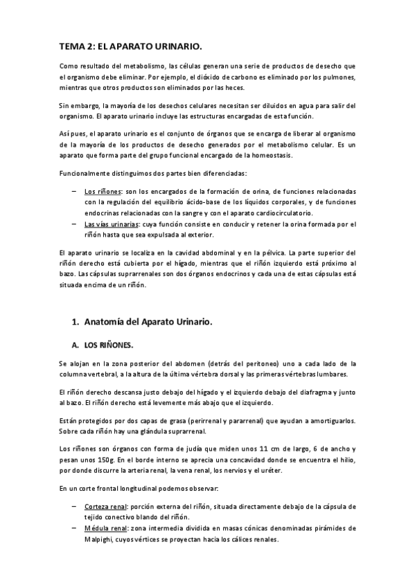 Miniatura del documento UNIDAD-DIDACTICA-5.pdf