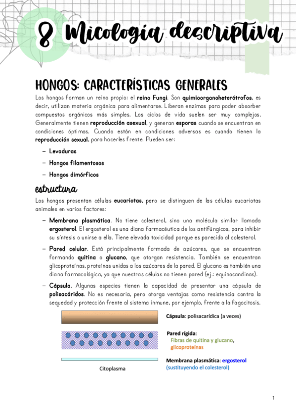 Miniatura del documento Tema-8.pdf