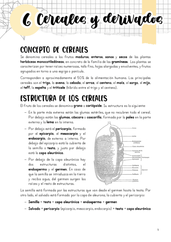 Miniatura del documento Tema-6.pdf