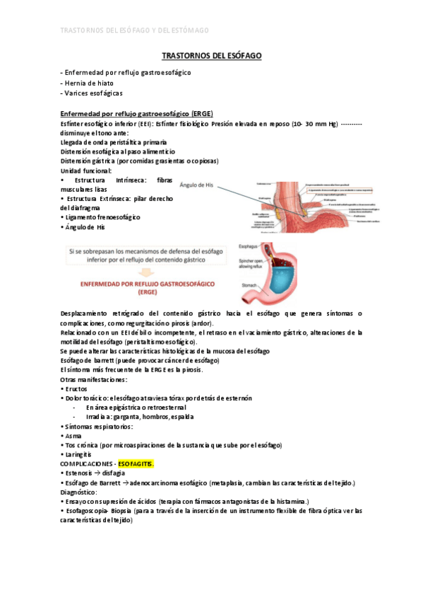 Miniatura del documento TRASTORNOS-DEL-ESOFAGO-y-ESTOMAGO.pdf