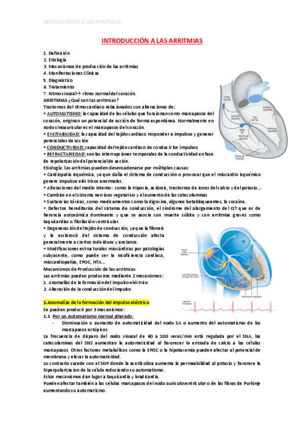 Miniatura del documento INTRODUCCION-A-LAS-ARRITMIAS.pdf