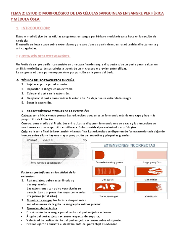Miniatura del documento TEMA-2-CELULAS-SANGUINEAS.pdf