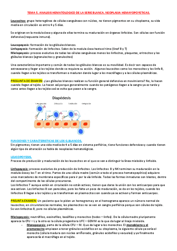 Miniatura del documento TEMA-5-ANALISIS-SERIE-BLANCA.pdf