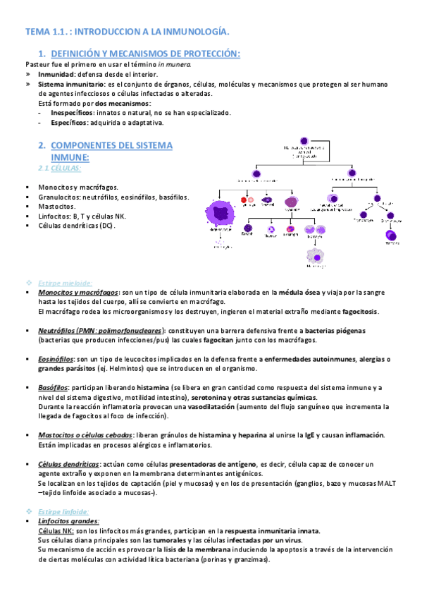 Miniatura del documento TEMA-1.pdf