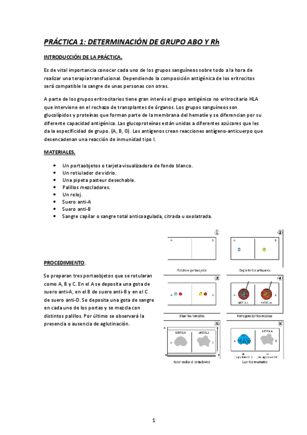 Miniatura del documento CUADERNO-DE-PRACTICAS-INMUNO.pdf