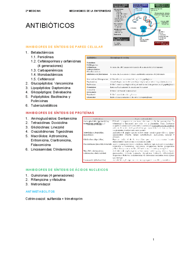Miniatura del documento Antibioticos-MecEnf.pdf