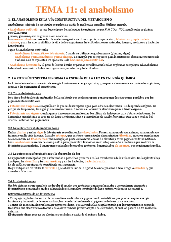 Miniatura del documento Tema-11-El-anabolismo.pdf