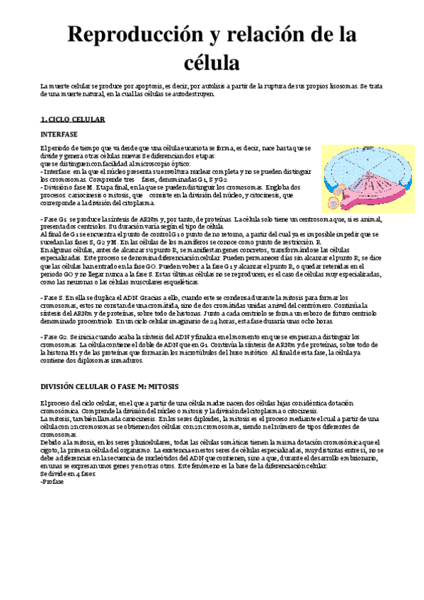 Miniatura del documento CICLO-CELULAR.pdf