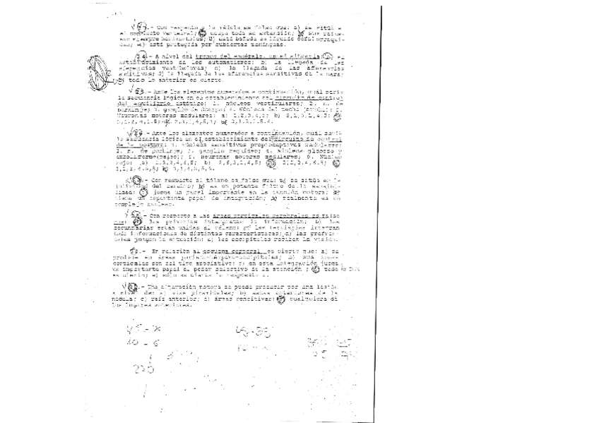 Miniatura del documento EXAMEN ANATOMÍA NEURO.docx