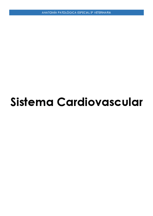 Miniatura del documento Sistema-Cardiovascular-.pdf