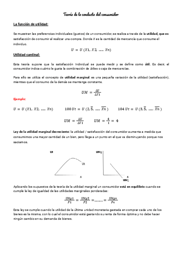 Miniatura del documento Tema-3-teoria-de-la-conducta-del-consumidor-.pdf