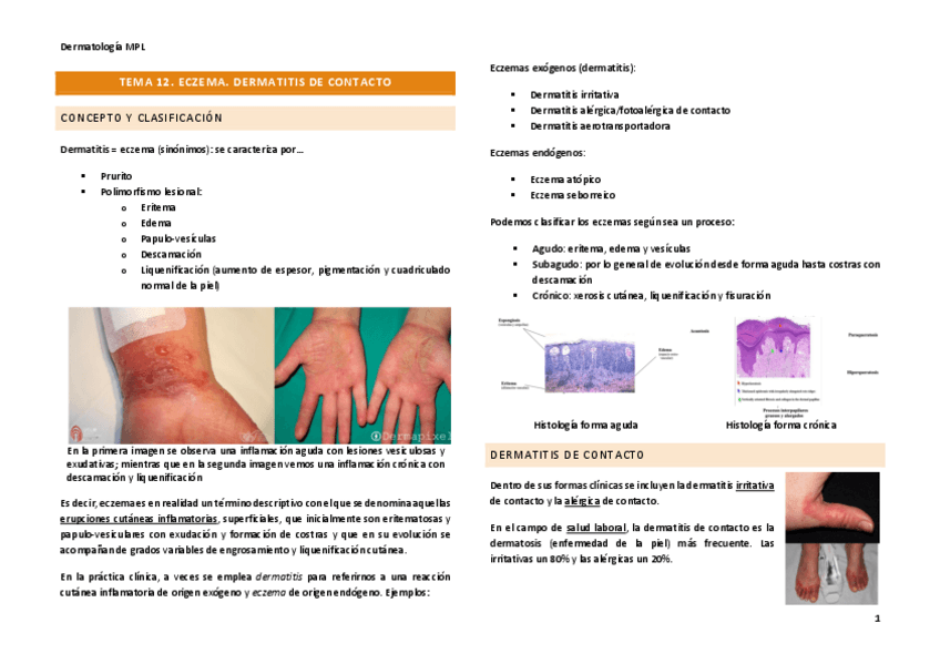 Miniatura del documento Tema-12.pdf