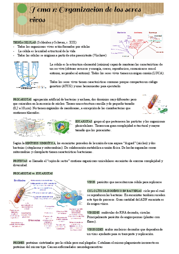 Miniatura del documento Tema-1.pdf