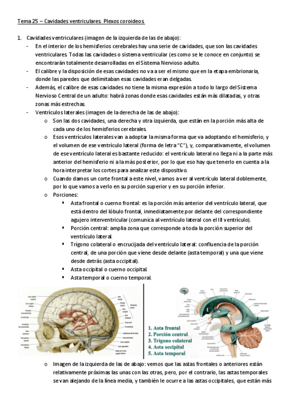 Miniatura del documento T25.pdf