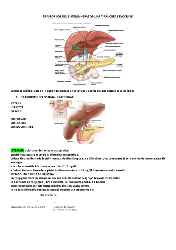 Miniatura del documento TRASTORNOS-DEL-SISTEMA-HEPATOBILIAR-Y-PANCREAS-EXOCRINO.pdf