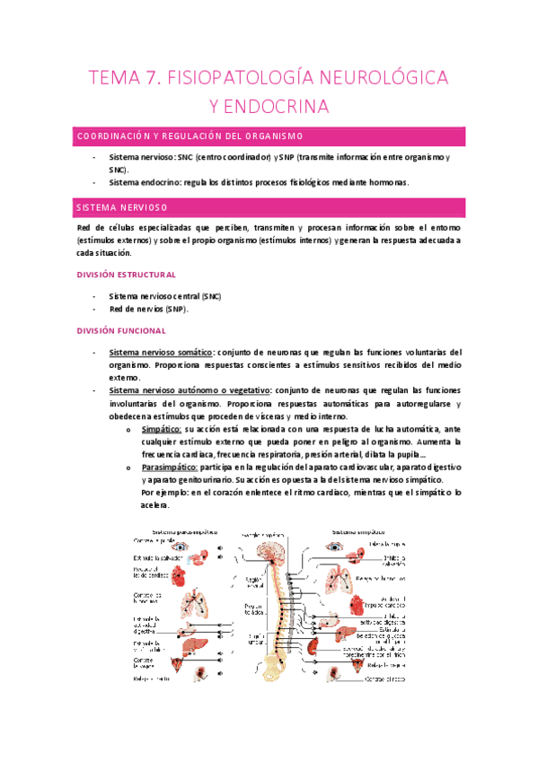 Miniatura del documento TEMA 7. FISIOPATOLOGÍA NEUROLÓGICA Y ENDOCRINA.pdf