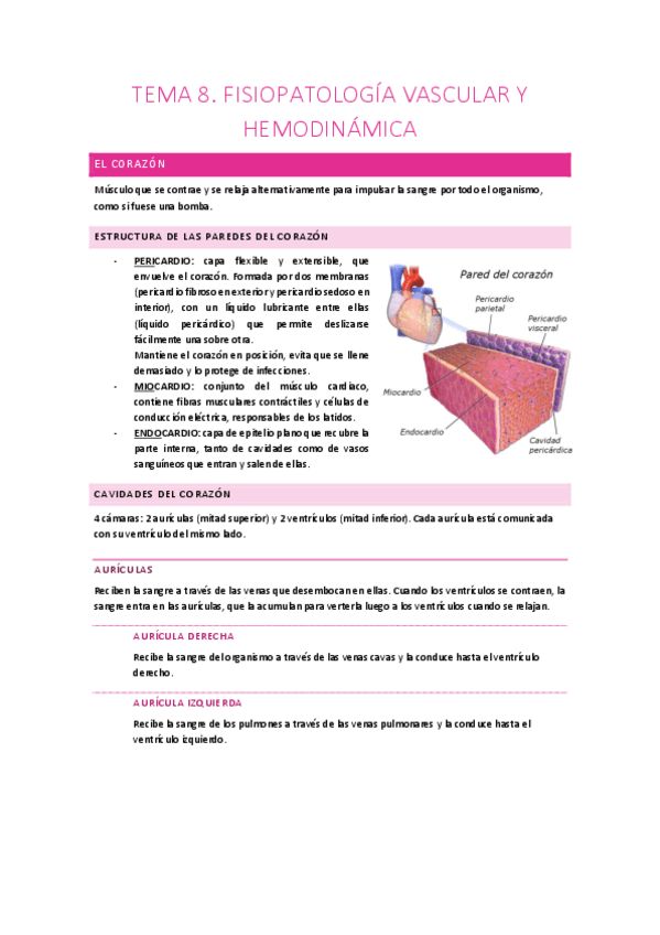 Miniatura del documento TEMA 8. FISIOPATOLOGÍA VASCULAR Y HEMODINÁMICA.pdf