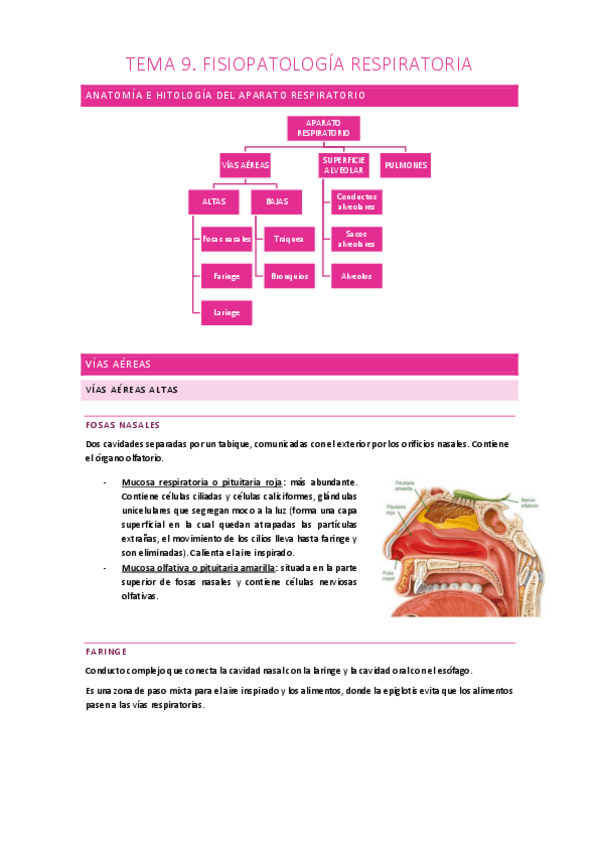 Miniatura del documento TEMA 9. FISIOPATOLOGÍA RESPIRATORIA.pdf