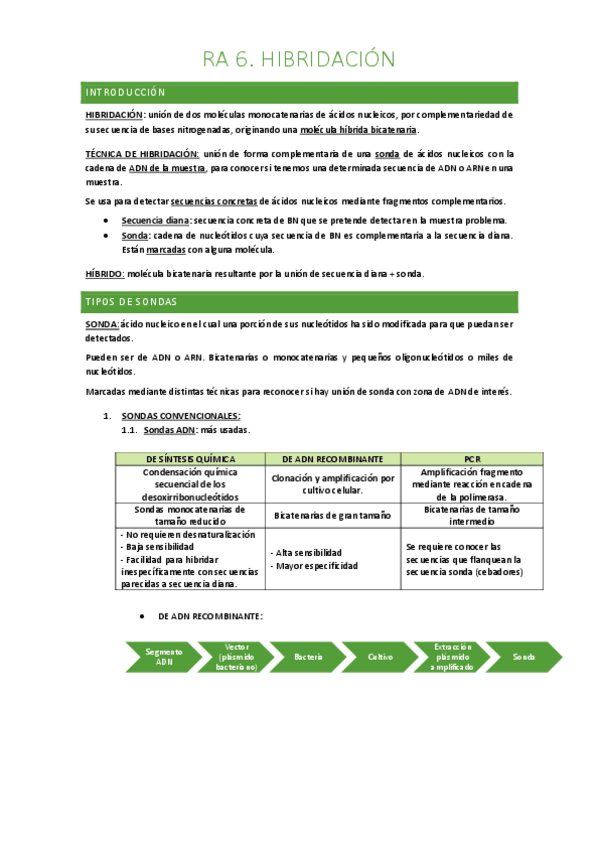Miniatura del documento RA-6.pdf