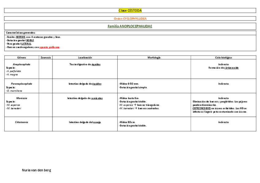 Miniatura del documento Resumen-T11-T17.pdf