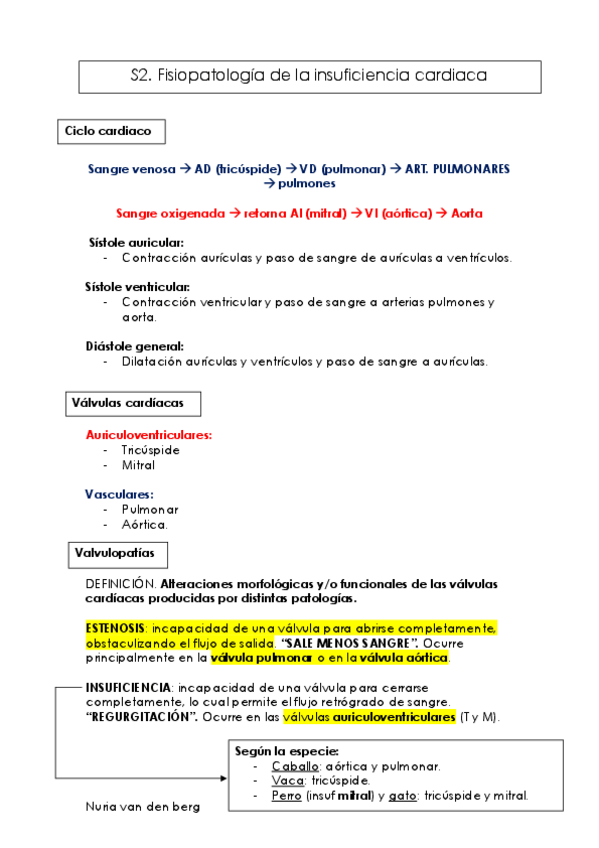 Miniatura del documento Apuntes.pdf